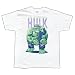 Search : Incredible Hulk - Big Fist Soft T-Shirt