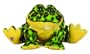 Webkinz Bullfrog