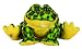 Webkinz Bullfrog