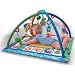 Fisher-Price Songs & Smiles Discovery Gym