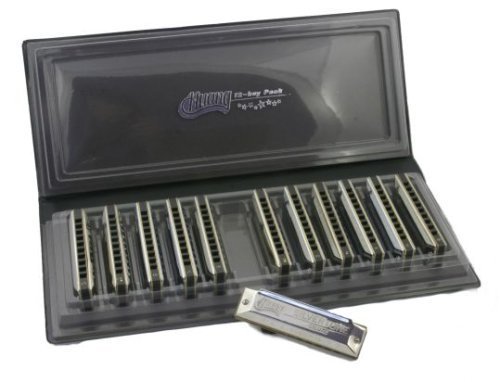 MusicalInstruments: Huang Silvertone Deluxe Harmonica 12 Key Set