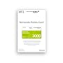Nintendo Points Card 3000 (Nintendo DS/Wii)