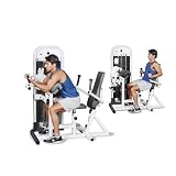 Inflight Multi Bicep-Tricep Machine