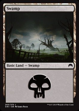 Magic: the Gathering - Swamp (263/272) - Origins - Foil
