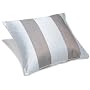 Pinzon Fleur Jacquard 20-Inch Square Pillow Cover, French Blue/Chocolate