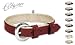 Pet Supplies : Flexi Elegance Ruby Red Leather Collar, Small to Medium Dogs