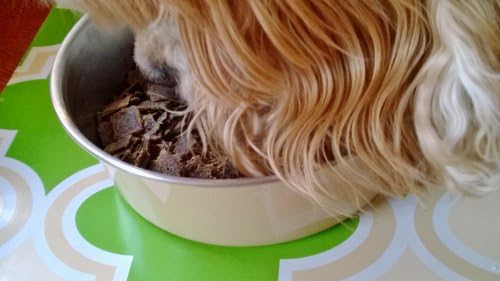 Tan Dog Bowls & Vintage Print Feeding Mat Set