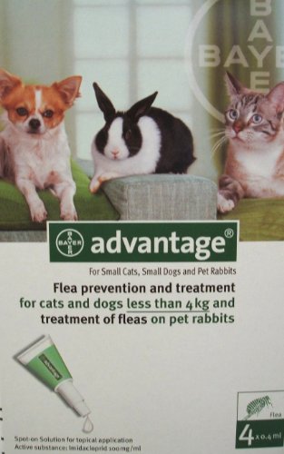 Cheapest Advantage for Cats Under 9 Lbs. ~~ 4 Months (Orange)