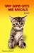 Why Some Cats are Rascals, Book 3 by Boszenna Nowiki by Boszenna Nowiki