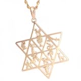 14K Star of David 12 Tribes of Israel Religious Pendant