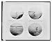 Historic Print (S): Tarpon fishing in Estero Bay, Charlotte Harbor, Florida