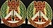 329th ENG GP USAR Distinctive Unit Insignia - Pair