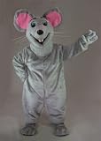Silly Mouse Mascot Costume Picture