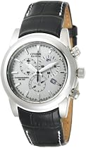 Citizen Men's Eco-Drive Chronograph Watch #AT0550-03A