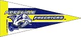 NHL Mini Nashville Predators Pennant, (2-Pack)