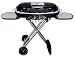 Paul Jr. Designs Coleman RoadTrip Grill