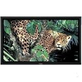 Panasonic TH-50PF9UK 50" 1080P 1920X1080 Plasma HDTV (Black)