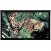 Panasonic 50" Hi-Def Plasma TV - Black (TH-50PF9UK )