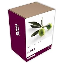 Gift Republic: Grow It. Grow Your Own Olives