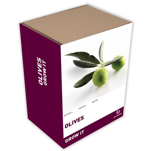 Gift Republic: Grow It. Grow Your Own Olives