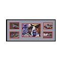 Jimmie Johnson Version B Framed Photograph