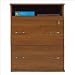 Ameriwood Industries 648-XX - Carina Collection Two-Drawer Lateral File with Open Sto...