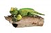 Plush Iguana 23