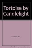 Tortoise by candlelight