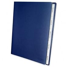 Wilson Jones View-Tab Master Filer Document Organizer, 5 Tabs, 12 Pockets, Letter Size, Black (W55117)