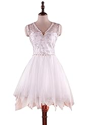 V-neck Chiffon Lace Embroidered Beaded Evening Dress/Prom Dress/Party Dress/Wedding Dress 