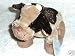 New Webkinz Brown Cow - Comes with Feature Code!