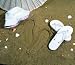 Beverly Clark 21PWL Ladies Just Married Sandals - Generous