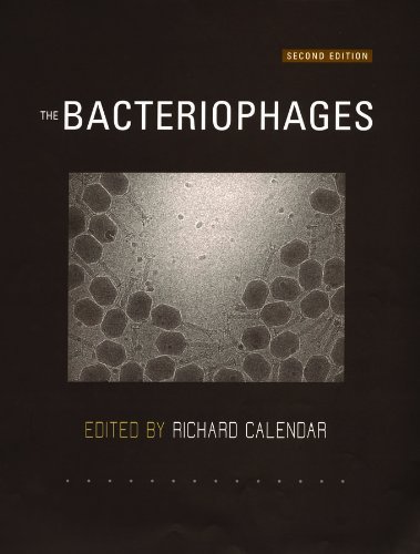 The Bacteriophages On Sale