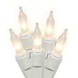 Set of 50 Clear Frosted Mini Christmas Lights - White Wire