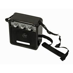 Gitarren Verst�rker Amp 3 Watt 9V von Pasadena GA2