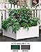 Self-Watering Raised Bed, Green