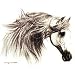 Women's Sweatshirt : Remate Andalusian Horse