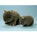 EBO 60187 Wombat, 23 cm, braun meliert, auf Foto links