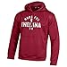 Under Armour NCAA Men's Validate 1/4 Zip Lightweight Mock