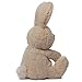 Gund Valentine's Blossom Tan Bunny