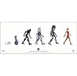 Battlestar Galactica "Evolution of the Cylon" Poster