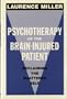 Psychotherapy of the Brain-Injured Patient: Reclaiming the Shattered Self (Norton Professional Book)