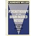 Psychotherapy of the Brain-Injured Patient: Reclaiming the Shattered Self (Norton Professional Book)