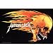 Metallica Skull And Flames Fabric Poster Flag