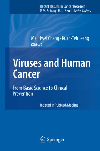 Viruses and Human Cancer: From Basic Science to Clinical Prevention: 193 (Recent Results in Cancer Research)