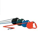 Flexi Retractable All Belt Lead, 16ft