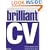 Brilliant CV: What Employers Want to See and How to Say it