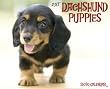 Just Dachshund Puppies 2010 Calendar Just Dachshund Puppies 2010 Calendar