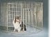 Midwest 48 High Gold Zinc Exercise Pen with Door