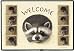 Raccoon Marjolein Bastein Wildlife Doormat Rug Mat Home Decor